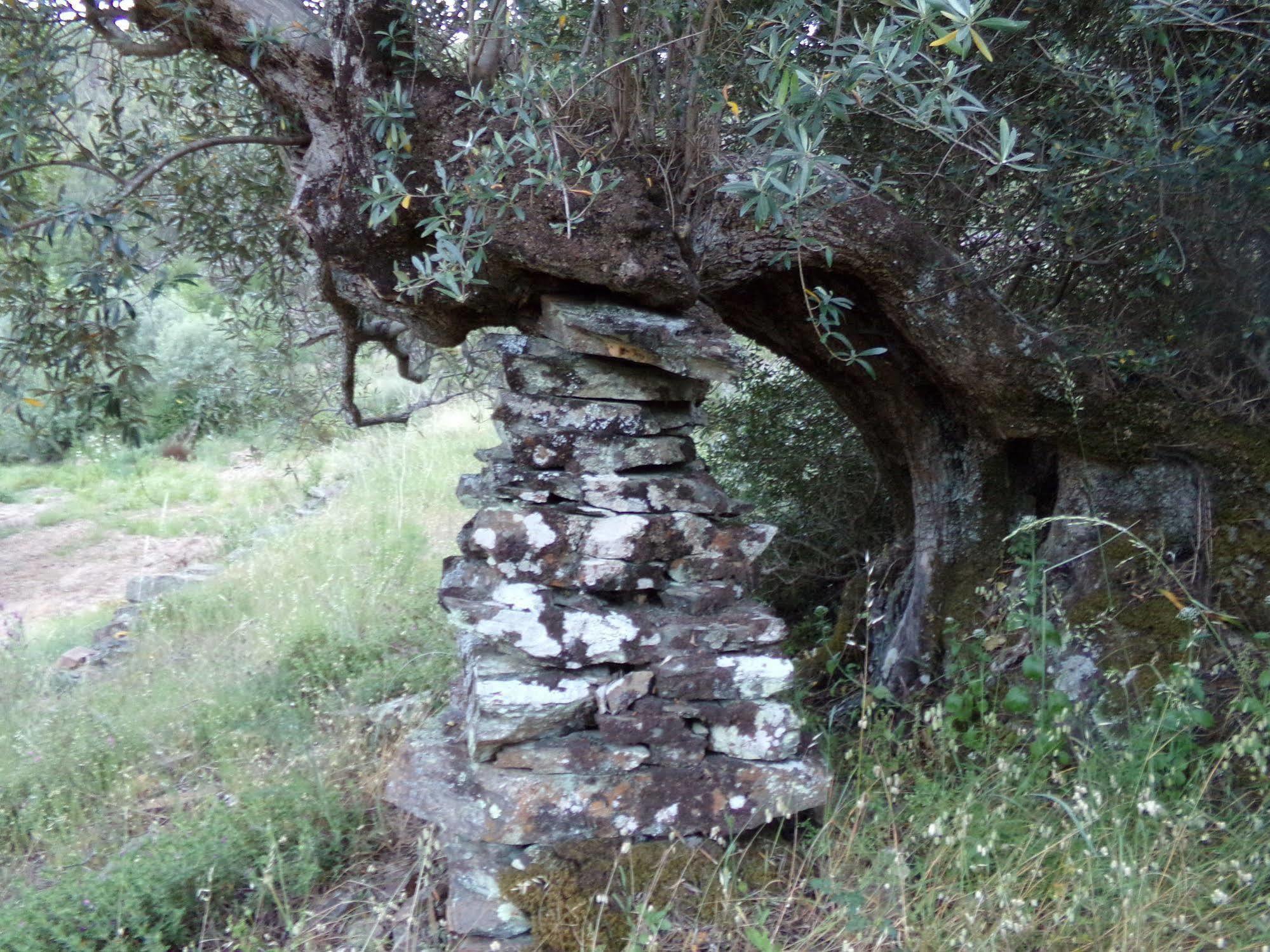 Casas Dos Carregais Βίλα Εξωτερικό φωτογραφία